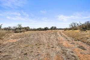 31631767