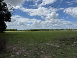 31631828