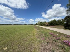 31631831