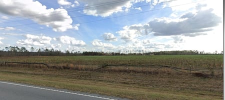 31631891