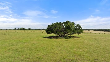 33813359