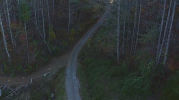 31634388