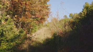 31634384