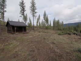 31634793