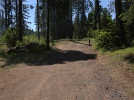 31634783