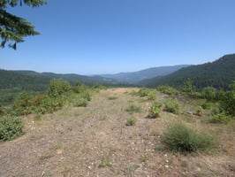 31634778