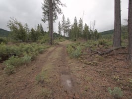 31634794