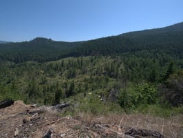 31634780