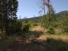 31634774