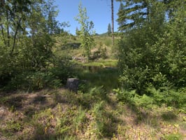 31634772