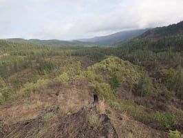 31634789