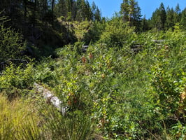 31634775