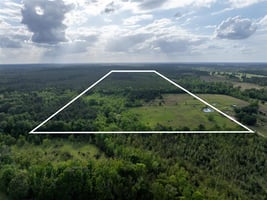 31634985