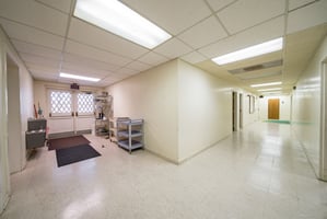31635394