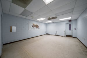 31635444