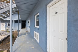 31635681