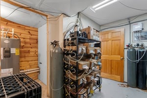 31636685