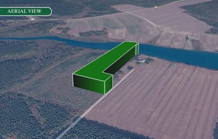 31637585