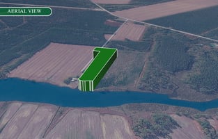 31637583