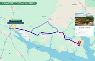 31637590