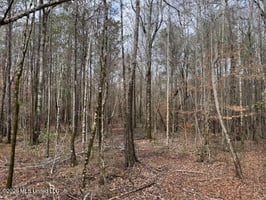 31638399