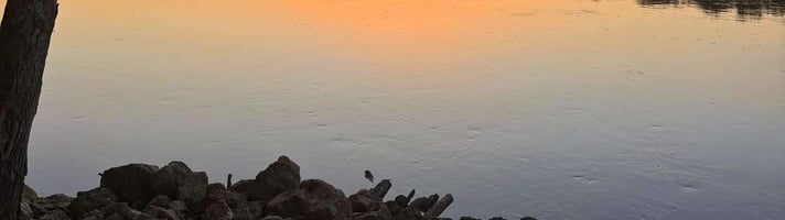 31639172
