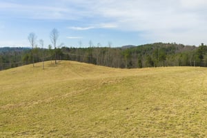 31640763