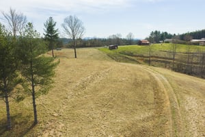 31640781