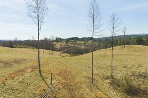 31640764
