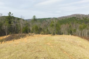31640757