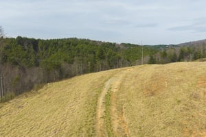 31640778