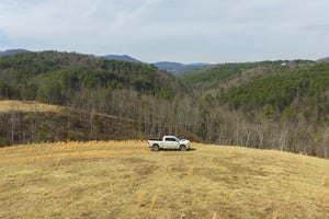 31640786