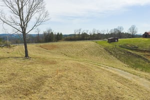 31640779