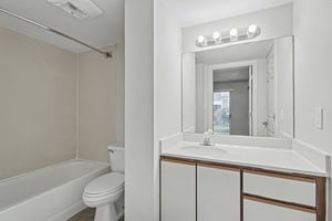 31641556