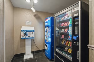 31641565