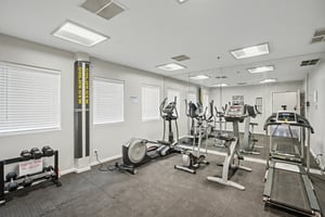 31641566