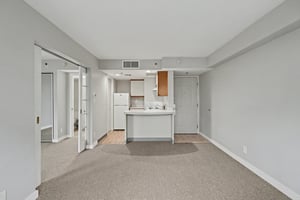 31641558
