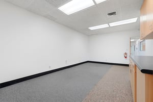 31643005