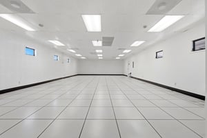 31642991