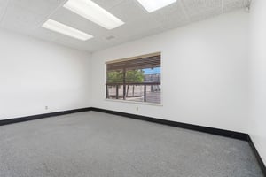 31642987