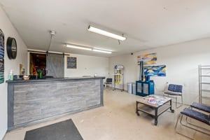 31643767