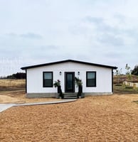 31643538