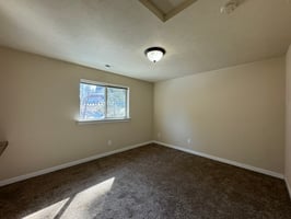 31643894