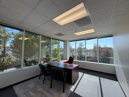 31643981
