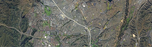 31643976