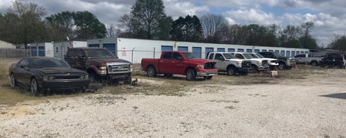 31644855