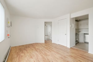 31645316
