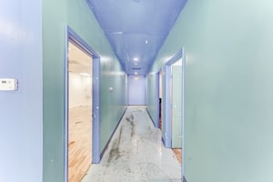 31685764