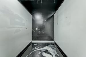 31685817