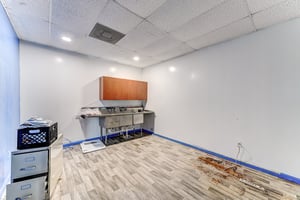 31685758